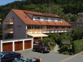 Hotel Koch Bad Liebenzell